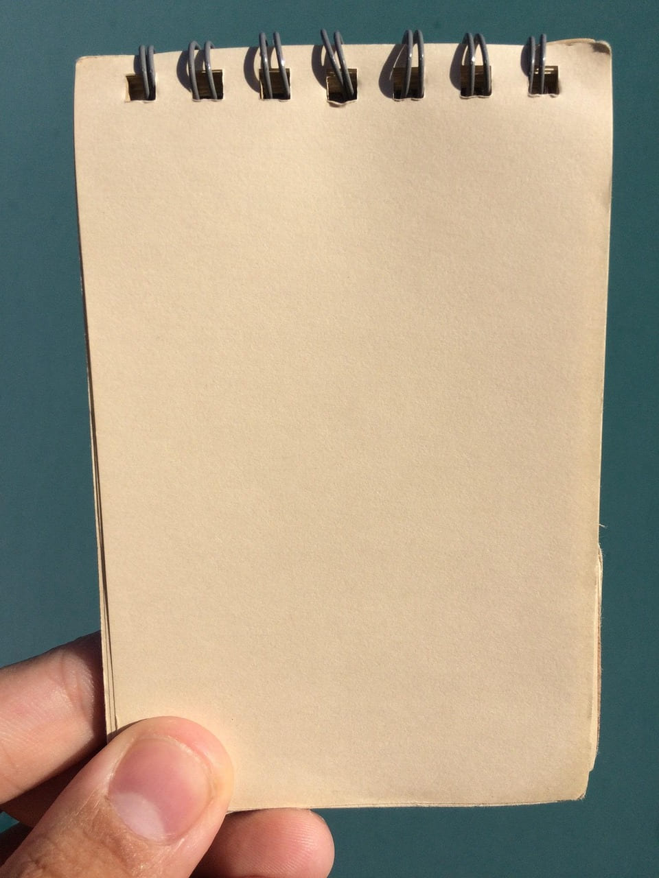 left hand, blank paper, male, hand, skin color, skin, nail, background, green, blue back, greenback, notepad, palm, size, small, business, manners, write, company, find work, job change, popular, work, work style, course, lecture, seminar, hope, request, business text, note, study, diary, stationery, stationary, office work, office supplies, necessities, surely, finger, sketchbook, book, calculation, entrance exam, test, household account book, household budget, pocket money, qualification, plan, writing, writing utensils, interview, pass, way, long, lifespan, composition, impressions, homework, mandatory, necessary, tools, slurry, draw, graffiti, textbook, subject, reinforcement, how to write, attention, ok, have, write in, registered mail, write down, look over, from now on, design, bulletin, signboard, entertainer, sign, message, concise, sentence, beautiful, how nice, verification, hobby, gather, shopping, task, iphone wallpaper, sketchbook, sketchbook, sketchbook, sketchbook, sketchbook, test, interview, concise, concise, verification, verification on Small Biz Blueprint